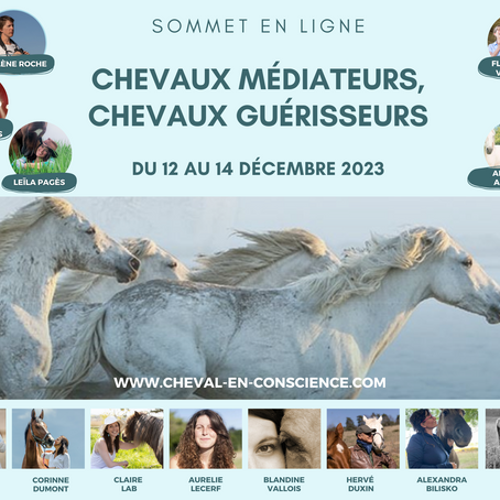 Cheval en Conscience : les avantages de prendre un ABONNEMENT membre de la communauté