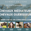 HEALING AND RECONNECTING WITH HORSES : online summit is next month