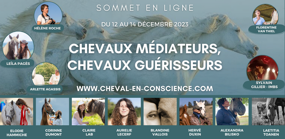 HEALING AND RECONNECTING WITH HORSES : online summit is next month