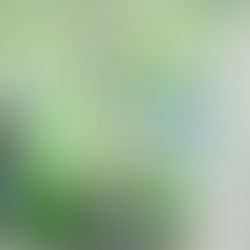 龜山植藝實驗所