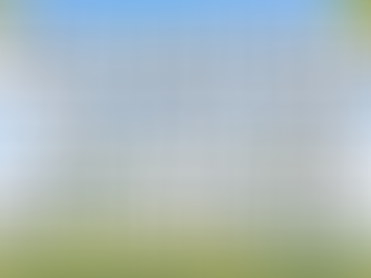 Pourquoi avoir Poulpi & Ratou dans votre camping ?!