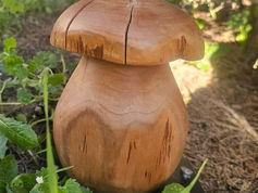 Poulpi & Ratou L'AVENTURE AU COEURS DES CAMPINGS Les enfants cherchent des trésors et créent de beaux souvenirs en famille au cœur des campings - POULPI & RATOU Présent depuis janvier 2026 - avec Roka Concepts - www.poulpietratou.com - France - Suisse 