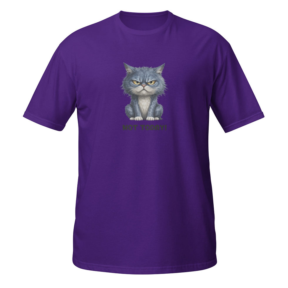 Thumbnail: Not Today, Grumpy Cat Energy T-Shirt