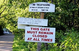 Screen Shot 2021-03-07 at 18.14_edited.jpg