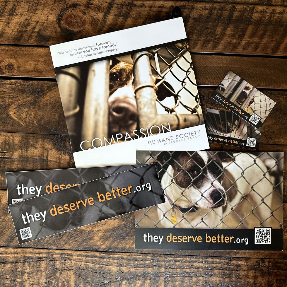 HSTT_ShelterCampaign_wPONDCollective