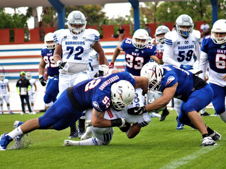 Correcaminos UAT está re regreso en Liga Mayor de ONEFA