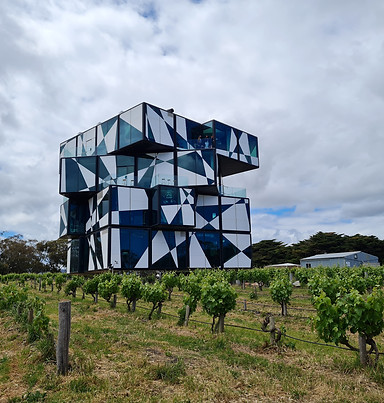 McLaren Vale Tours