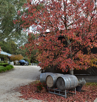 Adelaide Hills Tours