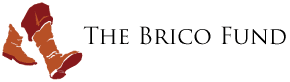 Brico Foundation Logo