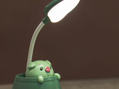 Seasonal Affective Disorder: Supporting Your Mood Through Light, Lifestyle and Nutrition