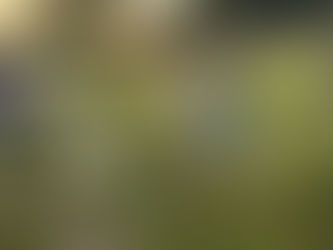 Hüttenzeit mit Herz - Zwei Wochenenden auf der Zdarsky-Hütte