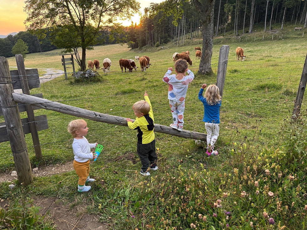 Hüttenzeit mit Herz - Zwei Wochenenden auf der Zdarsky-Hütte