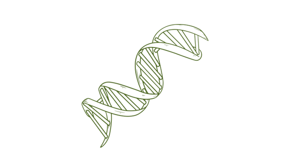 DNA.png