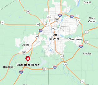 map.png