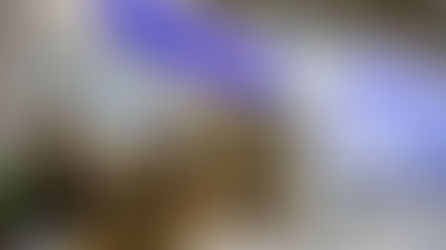 The Unrealistic Potential of Turkey-UAE Defense Cooperation