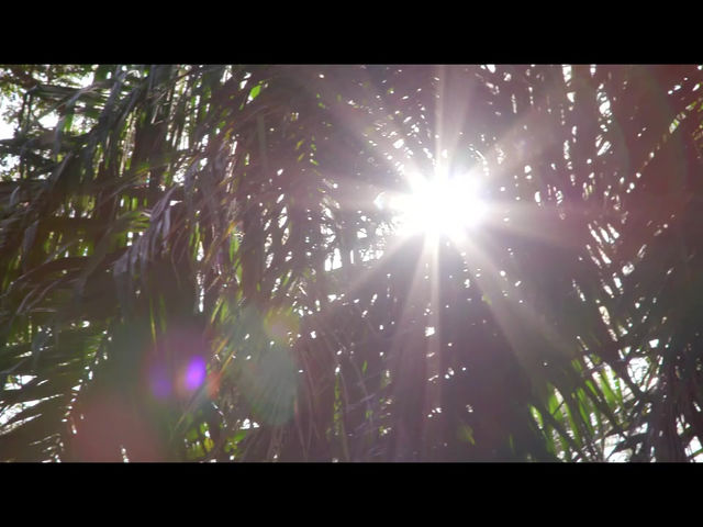 untitled image