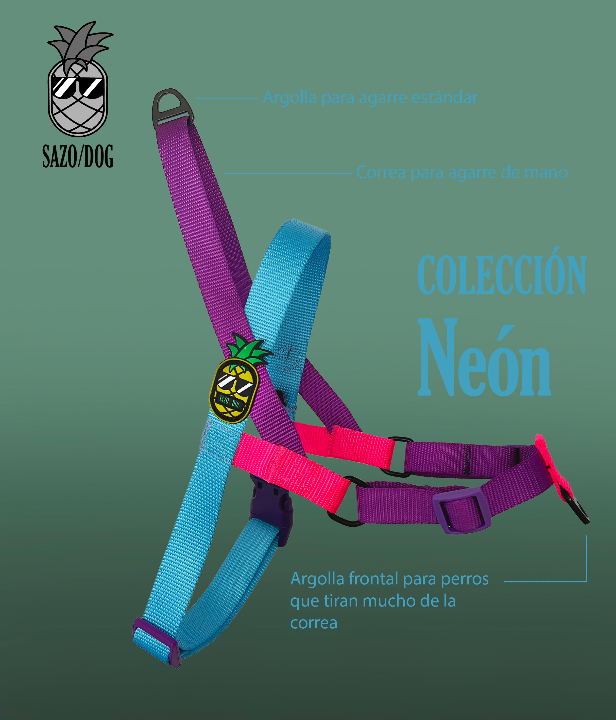 Arnés neón H4