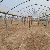 Large-Scale Biomass Operations