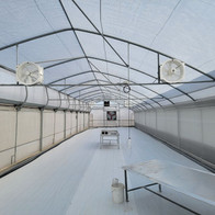 Greenhouse Experience