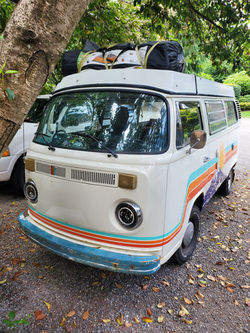 vw1