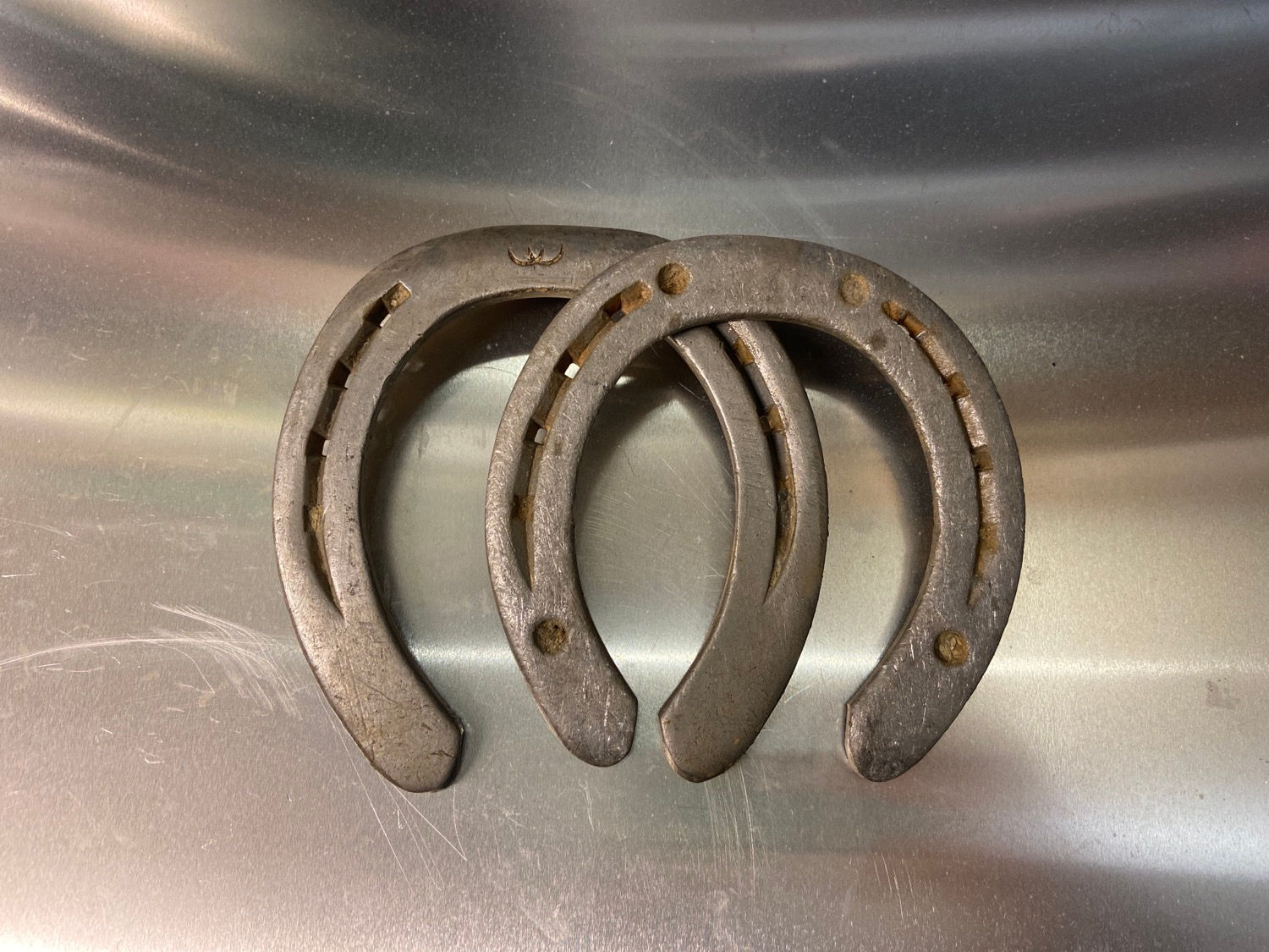 Hestesko til lek og kunst