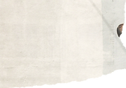 Ashley_paper5.png