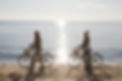 gettyimages-97829548-612x612.jpg