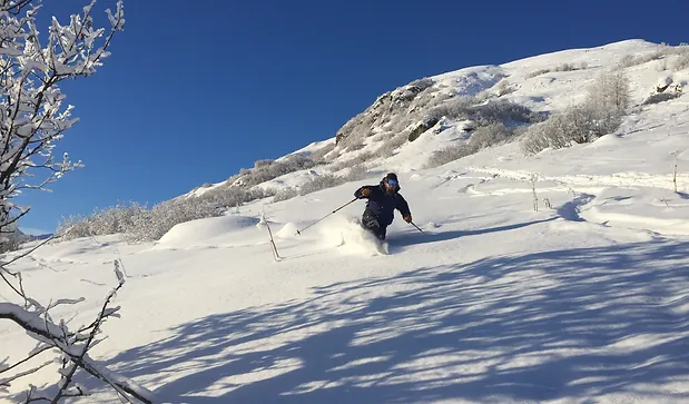 Skiing the meadows