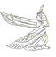 2_edited.png