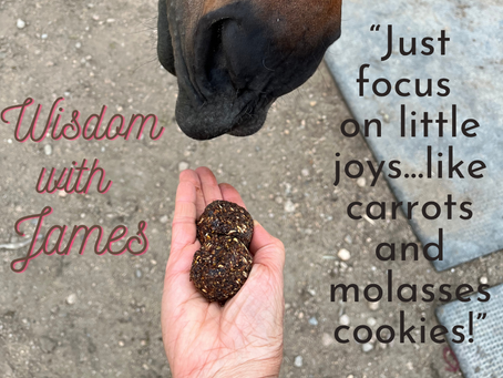 "Just focus on little joys...like carrots and molasses cookies!!"