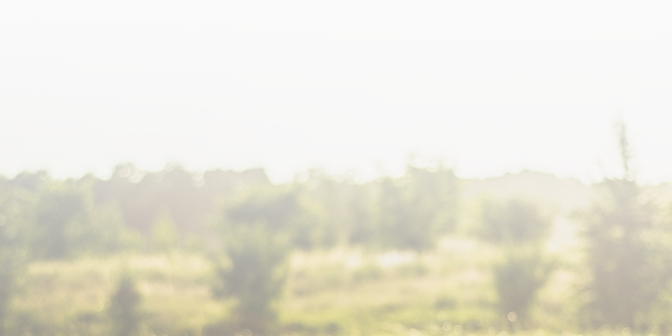 Animal Energy Healer Background (1).png