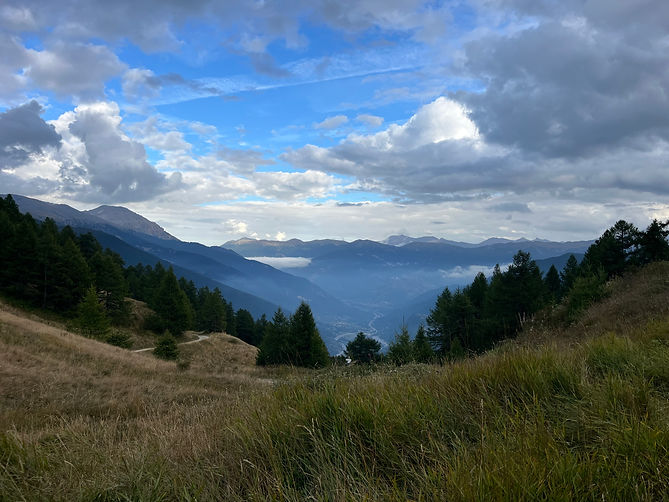 French & Italian Alps - Valley Landscape.jpeg