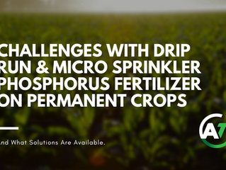 What are the Challenges with Drip Line Fertilizer & Micro Sprinkler Phosphorus Fertilizer on Permanent Crops and What Solutions Are Available to Me?