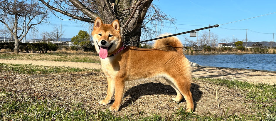 お天気に関するお知らせ