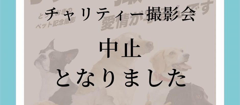 チャリティー撮影会中止のお知らせ