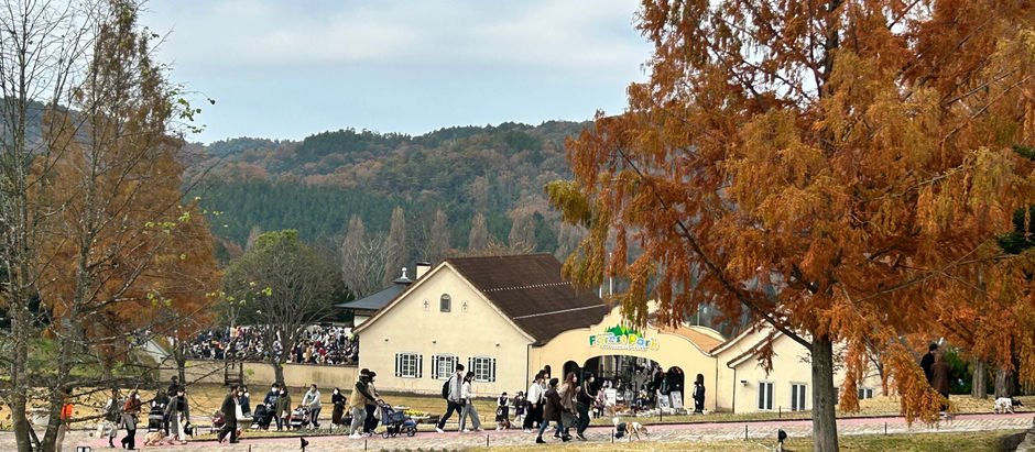 しっぽいちvol.15ありがとうございました