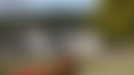 ドイツの森 コンビニ入園前売り券のお知らせ