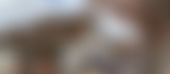 新年のごあいさつ ＆ しっぽ募金ご報告♫