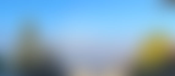 しっぽいちvol.13、ありがとうございました！