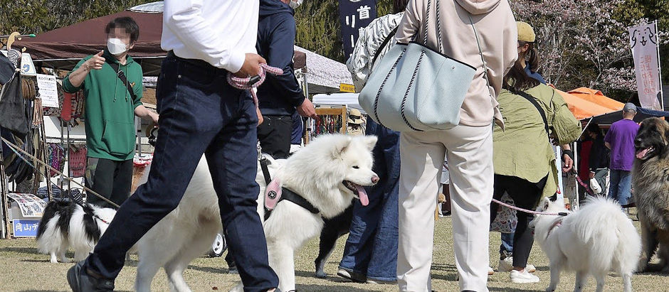 vol.15 出展ショップご案内ページを更新しました！