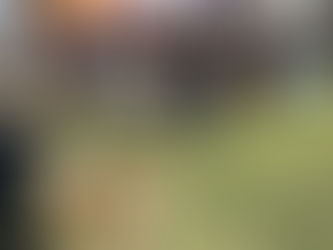 しっぽいち vol.22のご案内