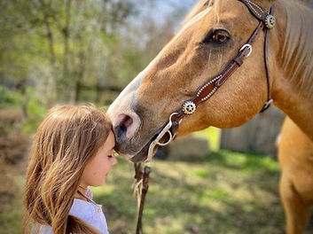 HOME | Hhhranch