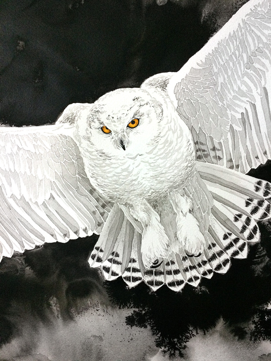 A CORUJA-DAS-NEVES II - VENDIDO