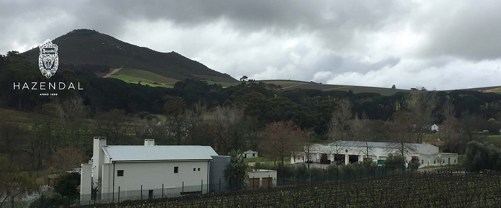 Diemersdal wine estate