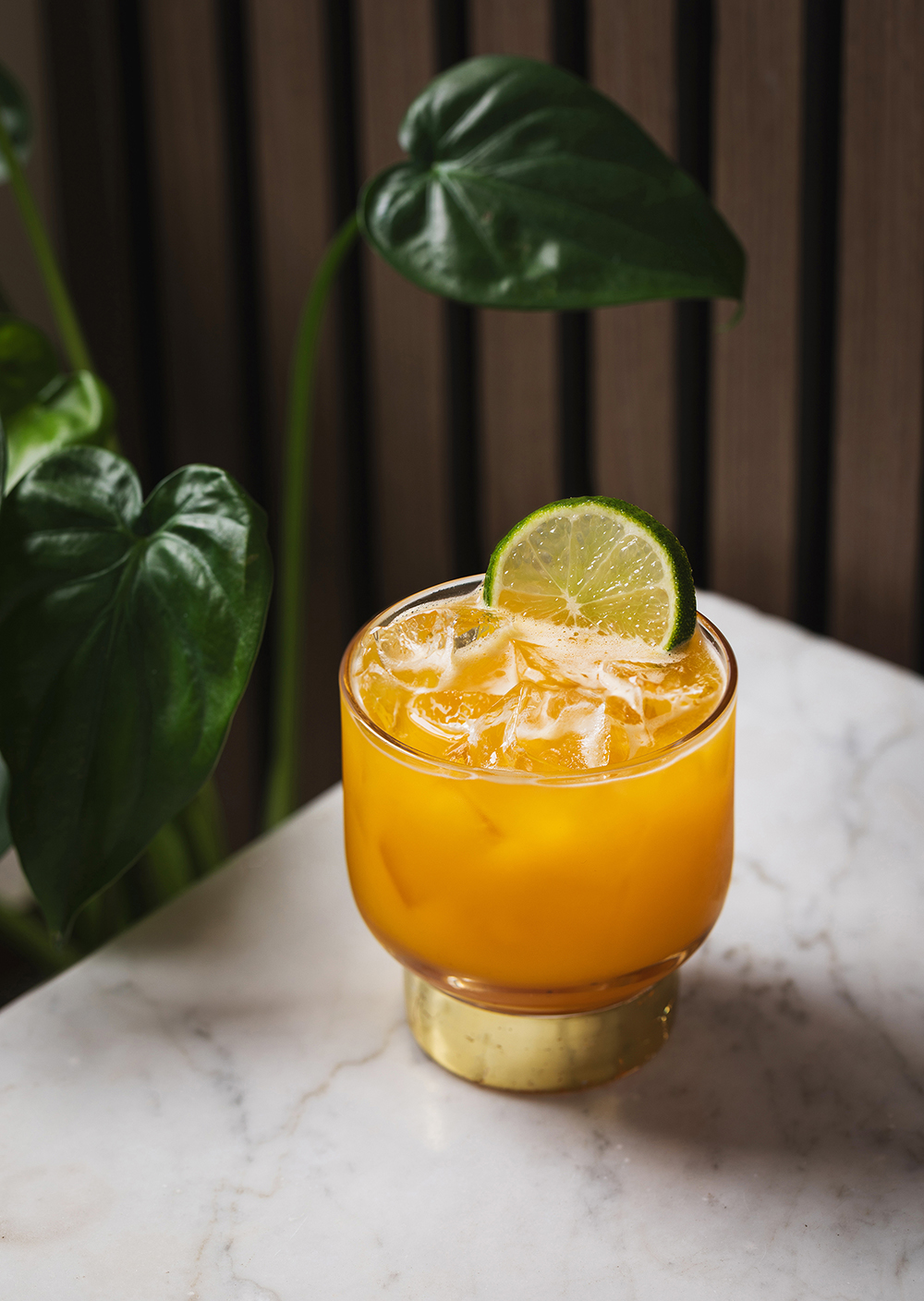 “Orange cocktail in a rocks glass with citrus wheel garnish.”