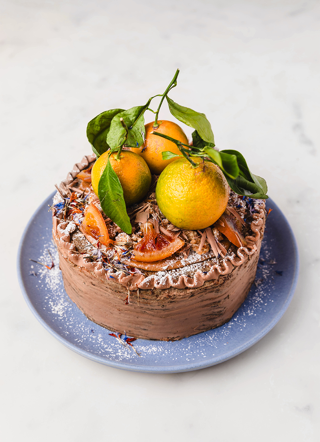 “Chocolate cake topped with citrus slices on a blue plate.”