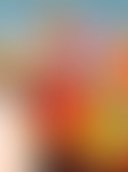 Nieuwe Burger King in De Panne wordt gerund door Plopsa