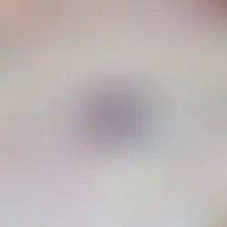 Massaal veel tekeningen voor Samson & Marie