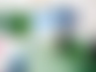 What are some common applications for bioplastic?