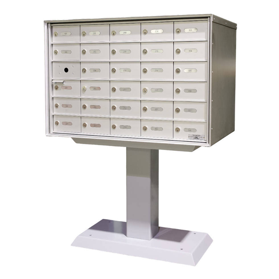 Untitled design (5).png